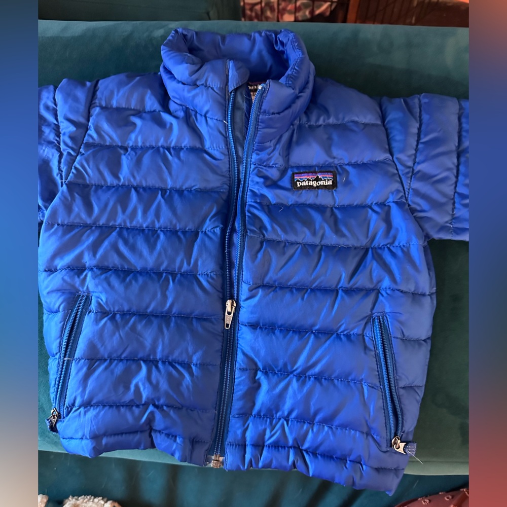 Patagonia puffer jacket